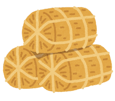 米の乾燥請負始まりました。